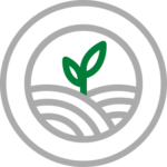 Icon depicting a growing plant